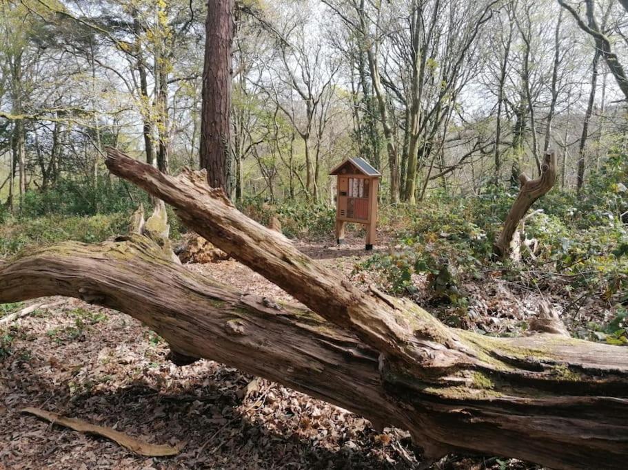 Pebble Cottage Uny Lelant Eksteriør bilde
